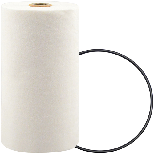 P7247 Spin-On Coolant Filter with BTE Formula Equipment World