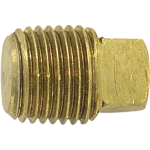 Pipe Plugs (Square Head), 1/4" Dia., Brass Equipment World