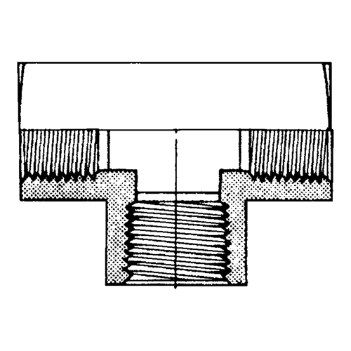 Female Pipe Tees, Brass, 1/8" Equipment World