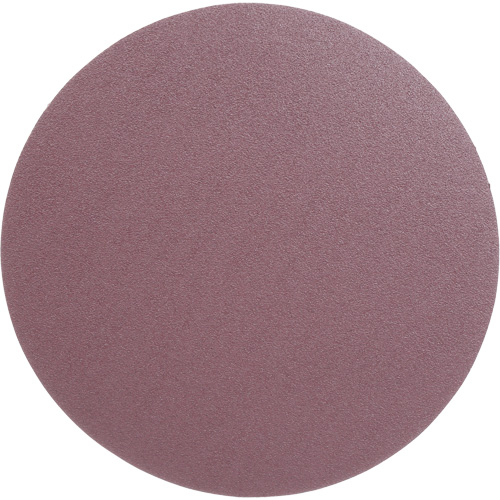 PSA Cloth Disc 348D, 12" Dia., 60 Grit, Aluminum Oxide, X-Weight Equipment World