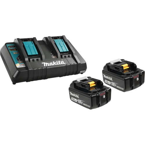 Ensemble de batterie au lithium-ion & chargeur &agrave; double port, 18 V, Lithium-ion Equipment World