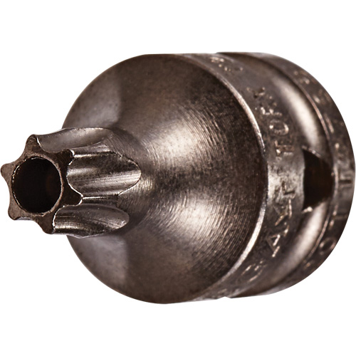 Socket Bit, Torx&reg; Tamper, 8 x 3/4" L, 1/4" Drive Equipment World