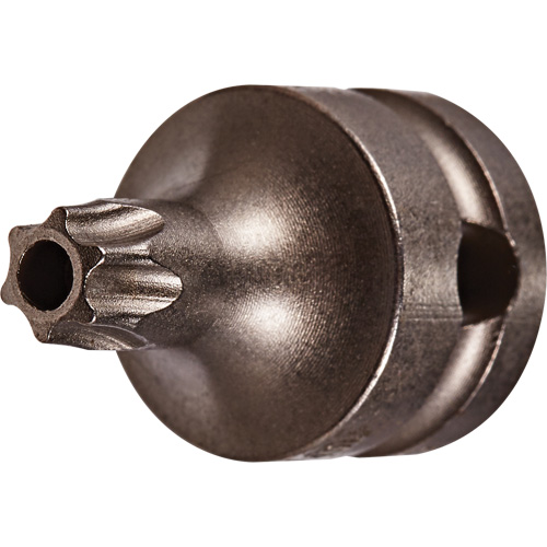 Socket Bit, Torx&reg; Tamper, 25 x 1" L, 3/8" Drive Equipment World