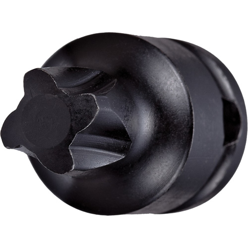 Socket Bit, Mortorq&reg; Super, 4 x 1-1/4" L, 3/8" Drive Equipment World