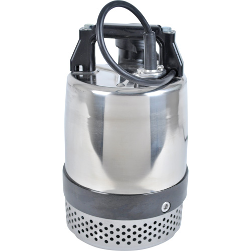 Pompe utilitaire s&eacute;rie FLS/FS, 1 CV, 80 gal./min, 115 V, 10 A Equipment World