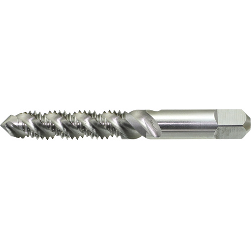Taraud &agrave; main &agrave; cannelure spiral&eacute;e Drillco, Acier rapide, Filet 1/4"-20 Equipment World