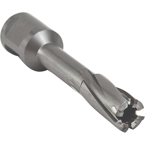Core Cut Annular Cutter with Weldon Shank, 12 mm Diameter, Carbide, 55 mm Depth of Cut, 3/4" Shank Equipment World