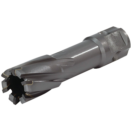 Universal Shank Annular Cutter, 1/2" Diameter, Carbide, 2" Depth of Cut, 3/4" Shank Equipment World