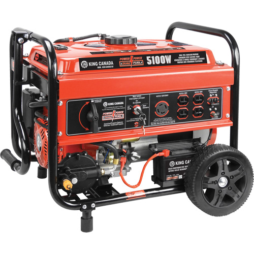 Gasoline/Propane Generator with Electric Start Equipment World