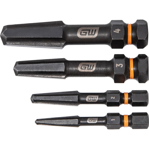 Jeu d'extracteur de vis Bolt Biter, Acier rapide, 4 Morceaux Equipment World