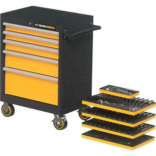 Mechanics Tool Set in Modular Foam Trays with Storage Unit, 247 Pieces Equipment World