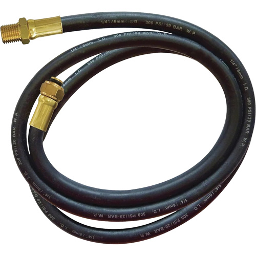 Replacement Hose, Air, 6.5' Equipment World