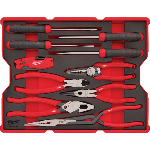Pliers & Pick Set with Tray for PACKOUT Drawers Equipment World