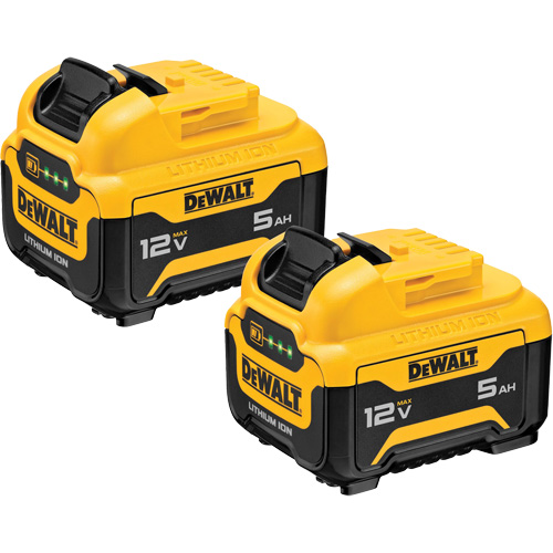 Max* Battery Packs, Lithium-Ion, 12 V, 5 Ah Equipment World
