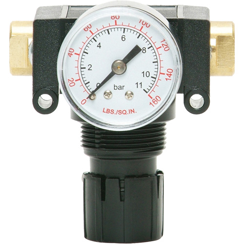 MODULAIR 200 Acetal Piston Regulator, 1/4" NPT, 150 PSI Max. PSI, In Line/Modular Equipment World