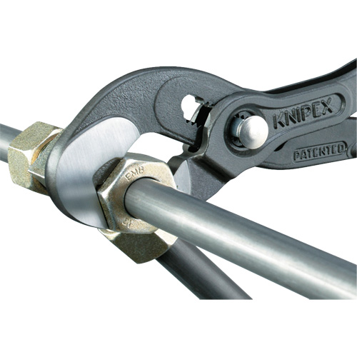 Pince Raptor, 10" Equipment World
