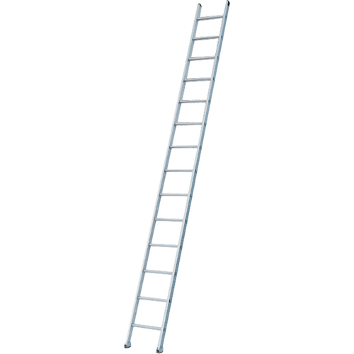 Industrial Heavy-Duty Extension/Straight Ladders, 8', Aluminum, 300 lbs., CSA Grade 1A Equipment World