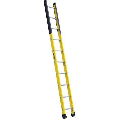Single Manhole Ladder, 10', Fibreglass, 375 lbs., CSA Grade 1AA Equipment World