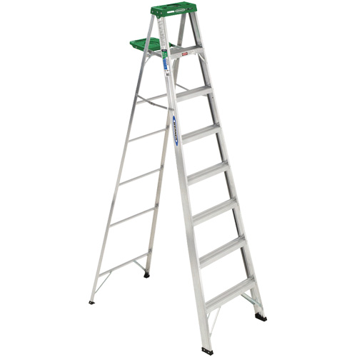 Escabeau avec tablette, 10', Aluminium, Capacit&eacute; 225 lb, Type 2 Equipment World
