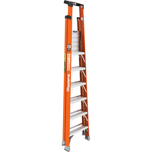 Safespace Platform Step Ladder, 6', 300 lbs. Cap. Equipment World