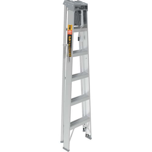 Step Ladder with Paint Tray, 6', Aluminum, 225 lbs. Capacity, Type 2 Equipment World
