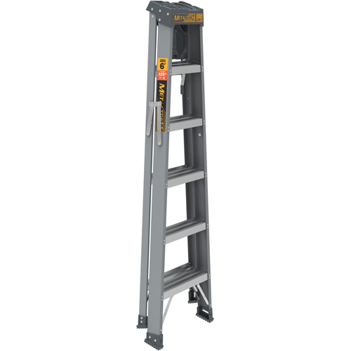 Step Ladder with Paint Tray, 6', Fibreglass, 225 lbs. Capacity, Type 2 Equipment World