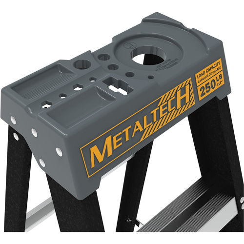 Step Ladder, 6', Fibreglass, 250 lbs. Capacity, Type 1 Equipment World