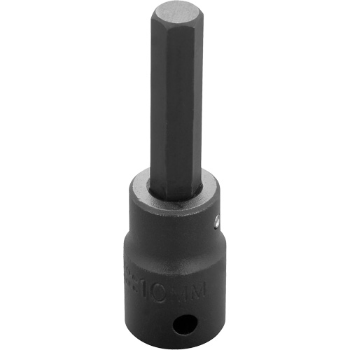 Socket Bit, Hex, 10 mm x 3-1/4" L, 1/2" Drive Equipment World