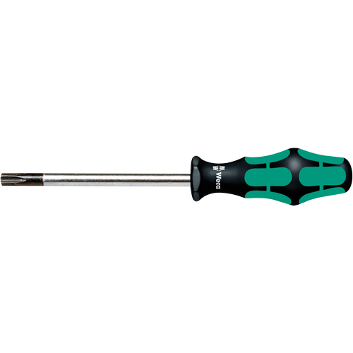 Tamper Proof Torx Screwdriver  Equipment World