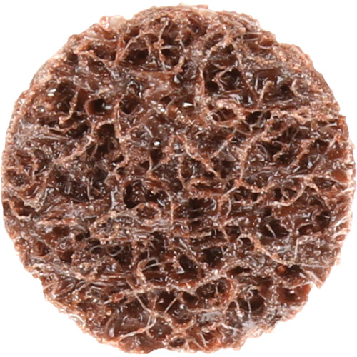 Standard Abrasives Quick-Change Surface Conditioning Disc, 3/4" Dia., Coarse Grit, Aluminum Oxide Equipment World