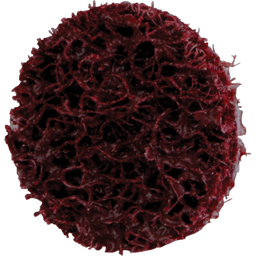 Standard Abrasives Quick-Change Surface Conditioning Disc, 3/4" Dia., Medium Grit, Aluminum Oxide Equipment World