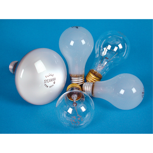 Incandescent Lamps - Long Life Equipment World