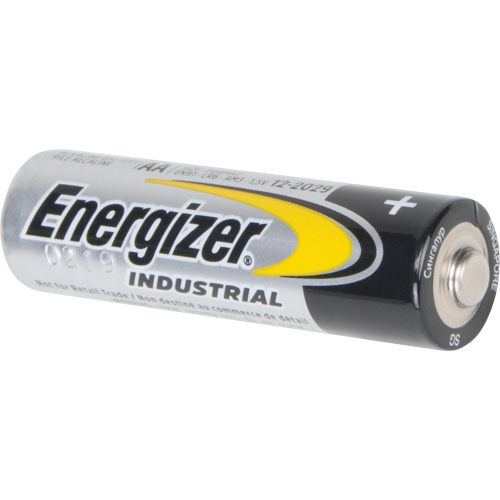 Alkaline Industrial Batteries, AA, 1.5 V Equipment World