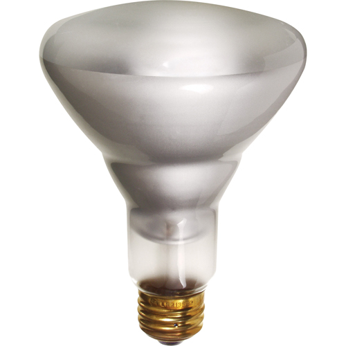 Economy Line Incandescent Lamps Equipment World