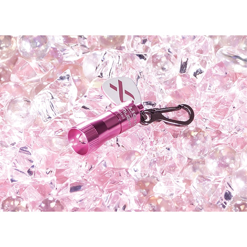 Lampes de poche Nano Light Equipment World