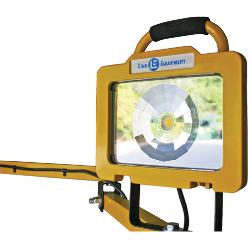 Heavy-Duty Dock Light, 40" Arm, 38 W, LED Lamp, Metal Equipment World