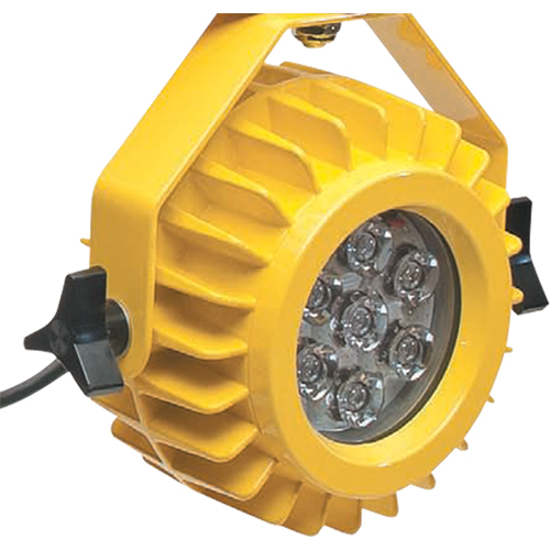 Heavy-Duty LED Dock Light - Head Only Equipment World