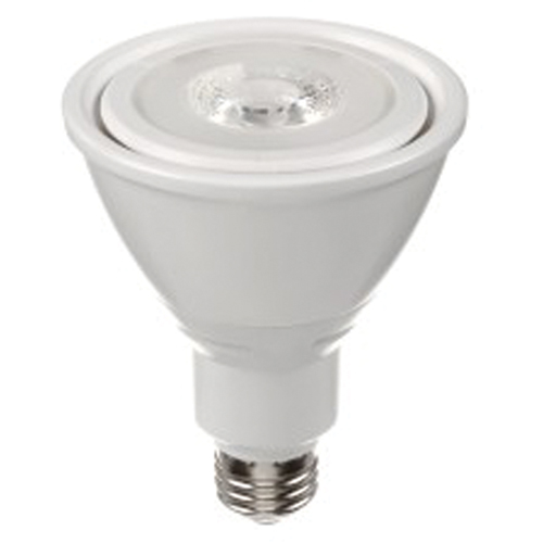 Ampoule DEL, PAR30, 10 W, 800 lumens, base Moyen Equipment World