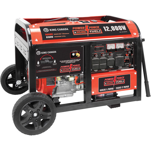 Gasoline/Propane Generator with Electric Start Equipment World
