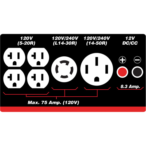 Gasoline/Propane Generator with Electric Start Equipment World