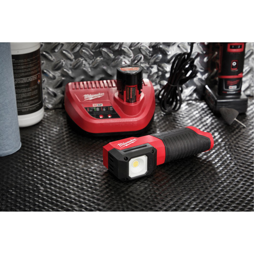 M12 Paint and Detailing Color Match Light, LED, 1000 Lumens Equipment World