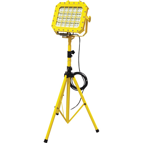 Explosion Proof Floodlight with Tripod, LED, 40 W, 5600 Lumens, Aluminum Housing Equipment World