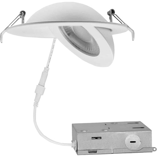 Gimbal Light Fixture, LED, 120 V, 9 W Equipment World