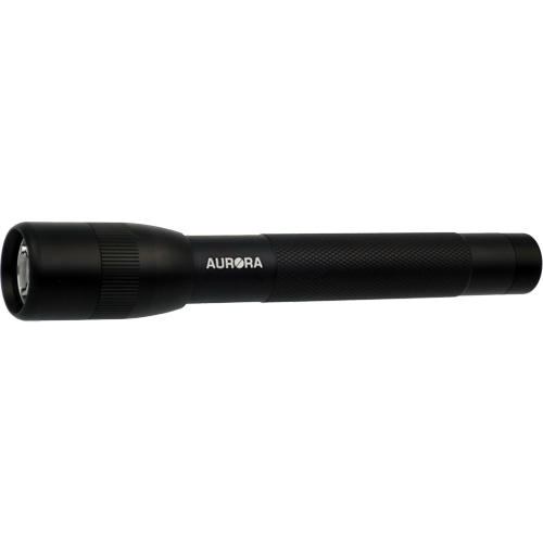 IPX4 Flashlight, 100 Lumens, AA Batteries Equipment World