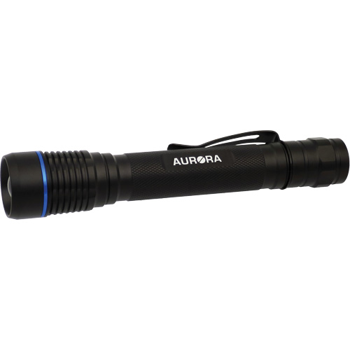 IPX7 Flashlight, LED, 250 Lumens, AA Batteries Equipment World