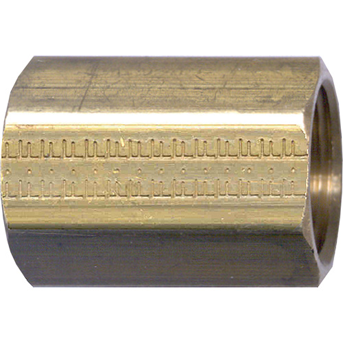 Pipe Coupling, Brass, 3/4" Equipment World