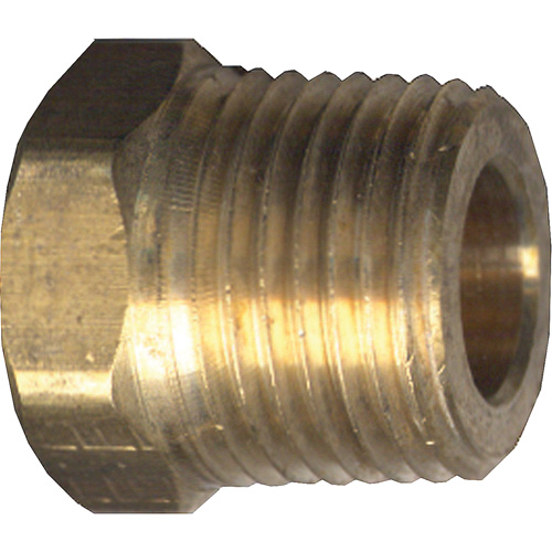 Hex Head Cored Plug, Pipe, 1/4" Dia., Brass Equipment World