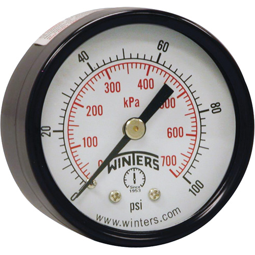 Economy Pressure Gauge, 2" , 0 - 160 psi, Back Mount, Analogue Equipment World