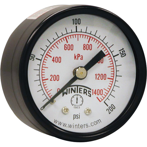 Economy Pressure Gauge, 2" , 0 - 200 psi, Back Mount, Analogue Equipment World