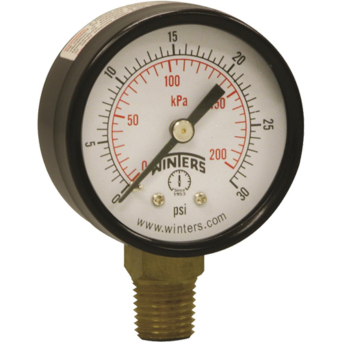 Economy Pressure Gauge, 2" , 0 - 30 psi, Bottom Mount, Analogue Equipment World